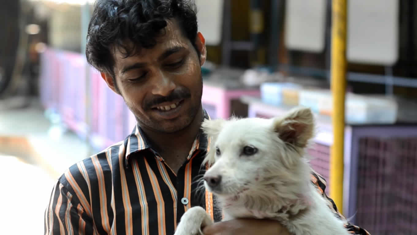 Welcome to PAWS - Pet Animal Welfare Society, New Delhi, India